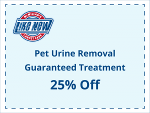 pet-urine-removal