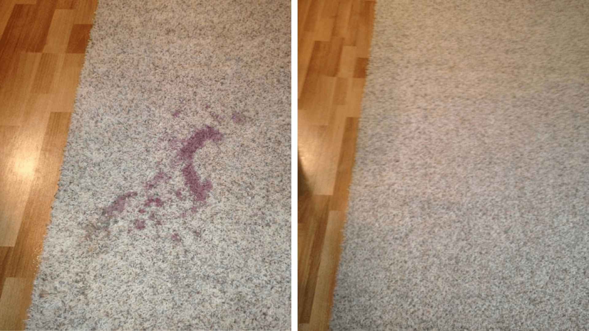 carpet cleaning