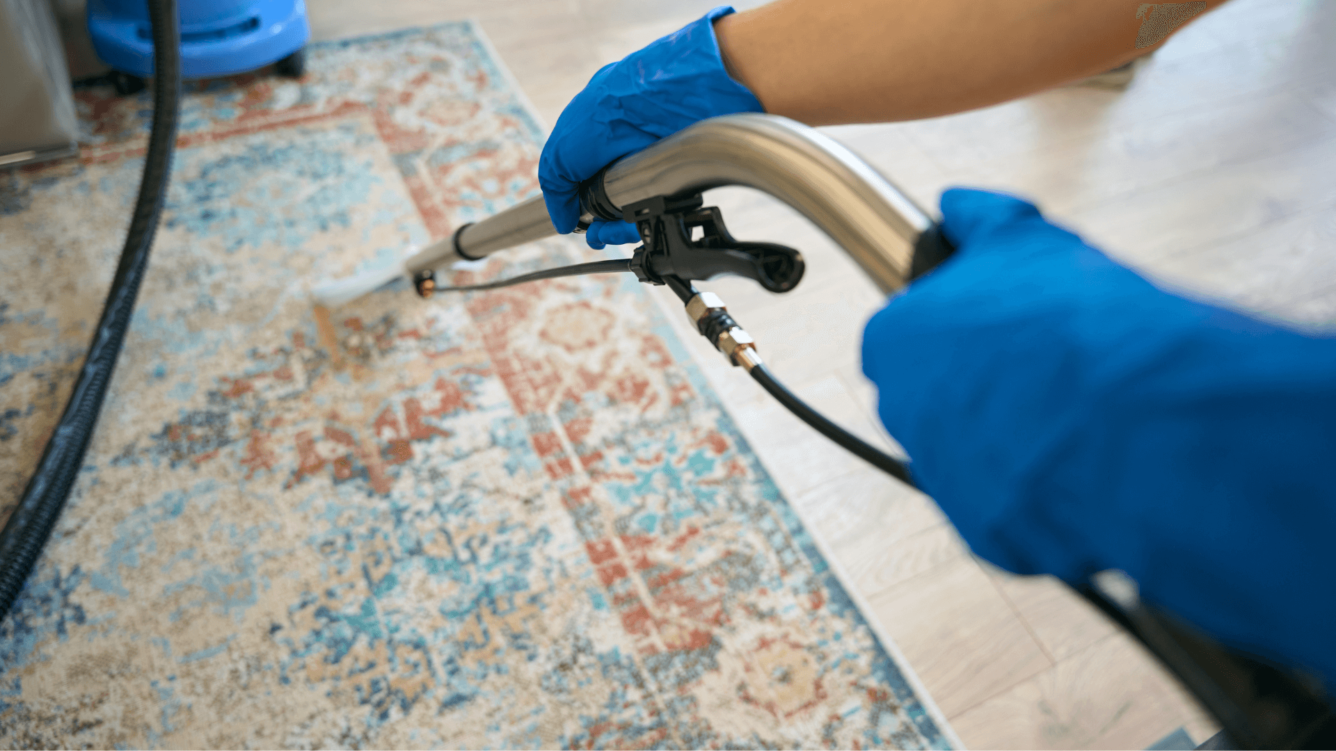 area rug cleaning