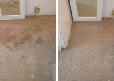 odor removal Salem Oregon