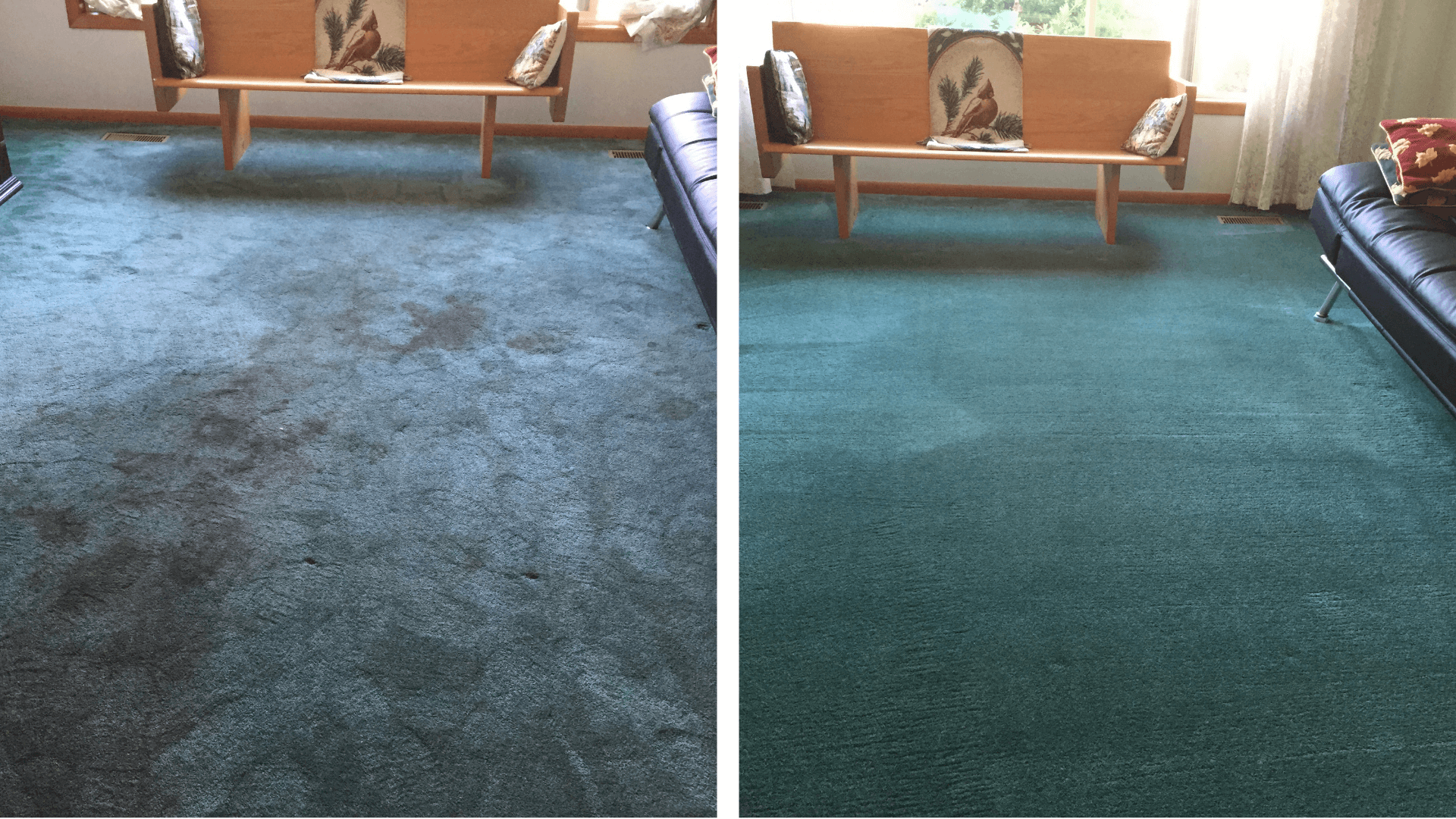 carpet cleaning