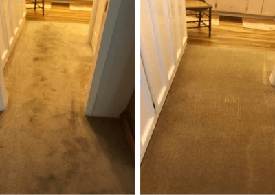 pet urine carpet cleaning