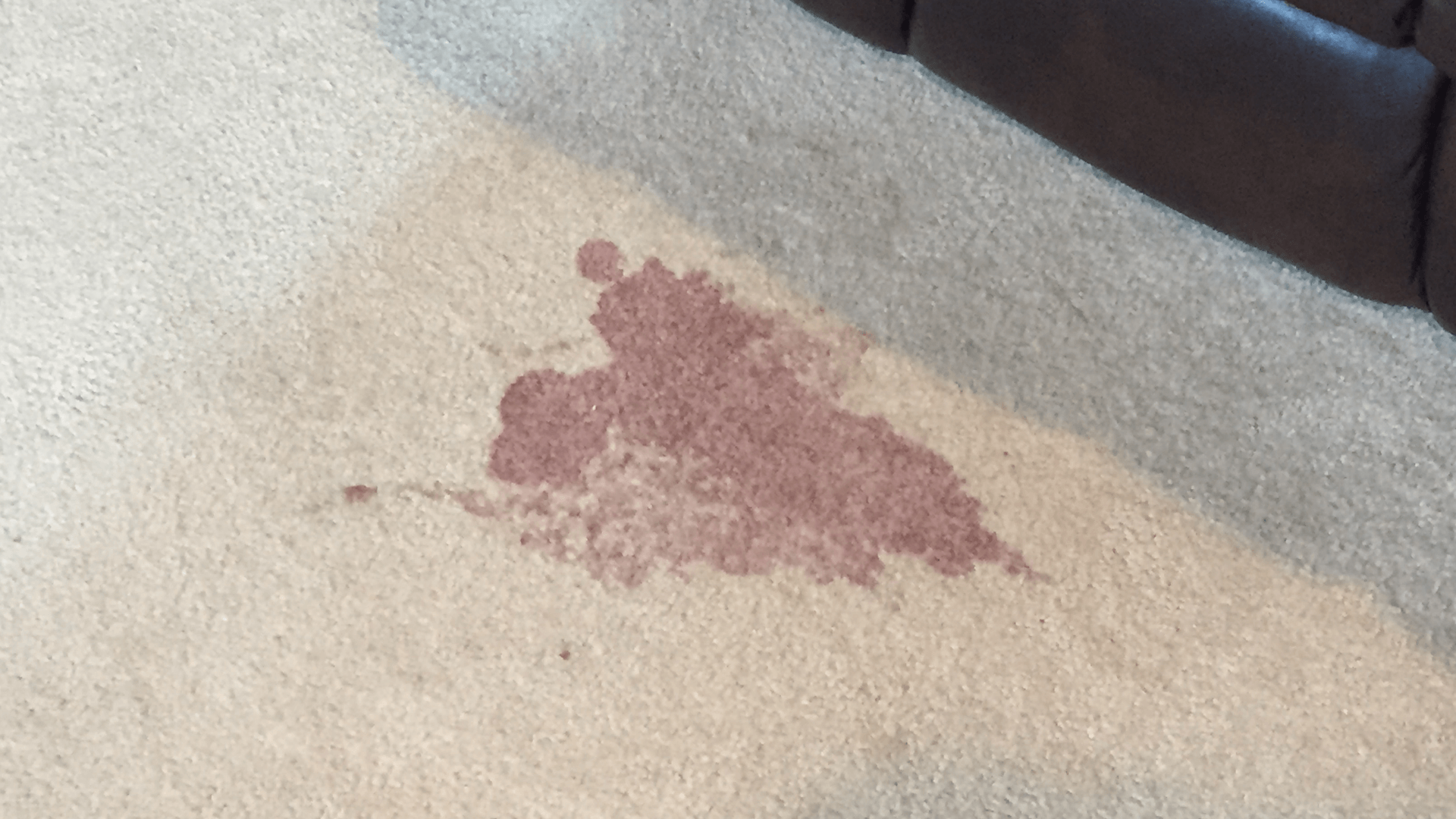 carpet cleaning