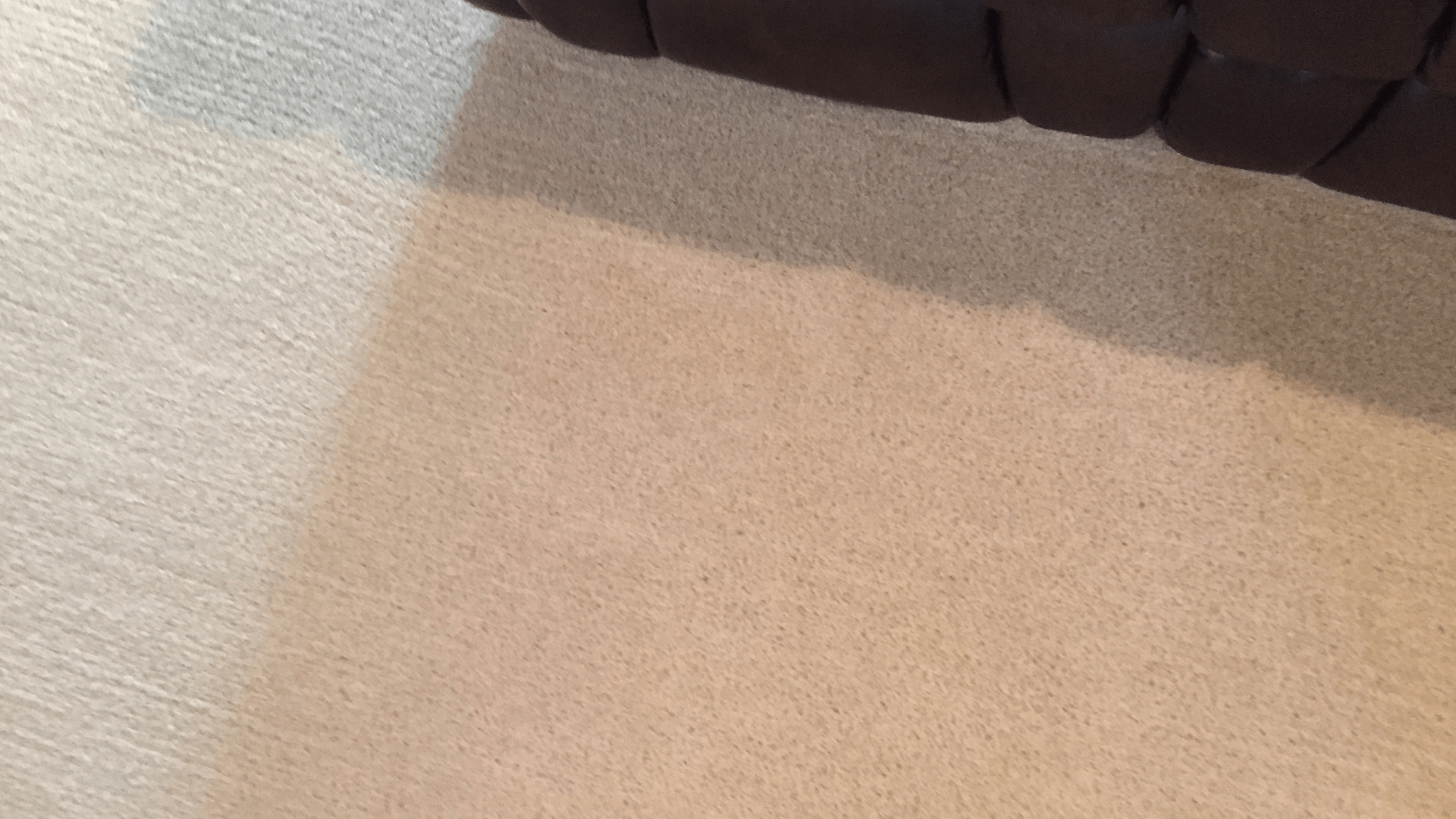 carpet cleaning